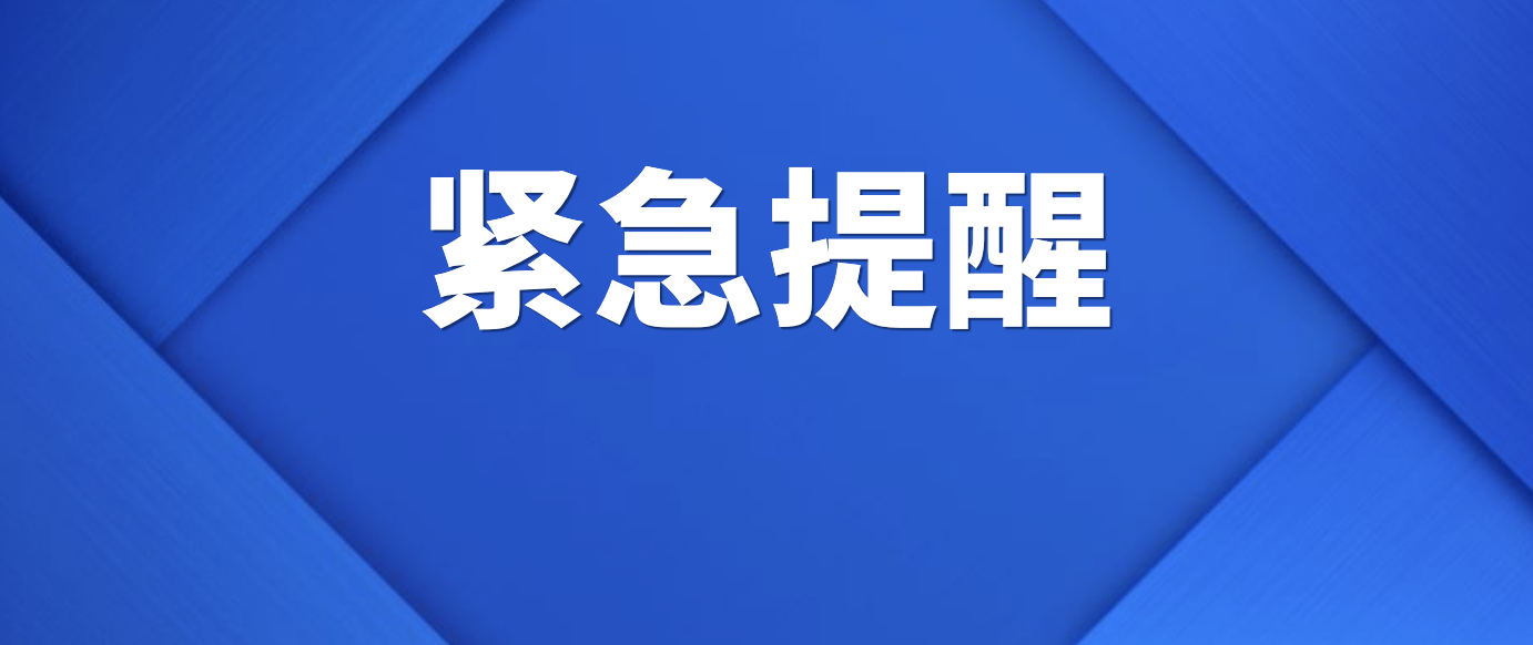 2024正版资料免费大全,行动规划执行_旅行者版9.879