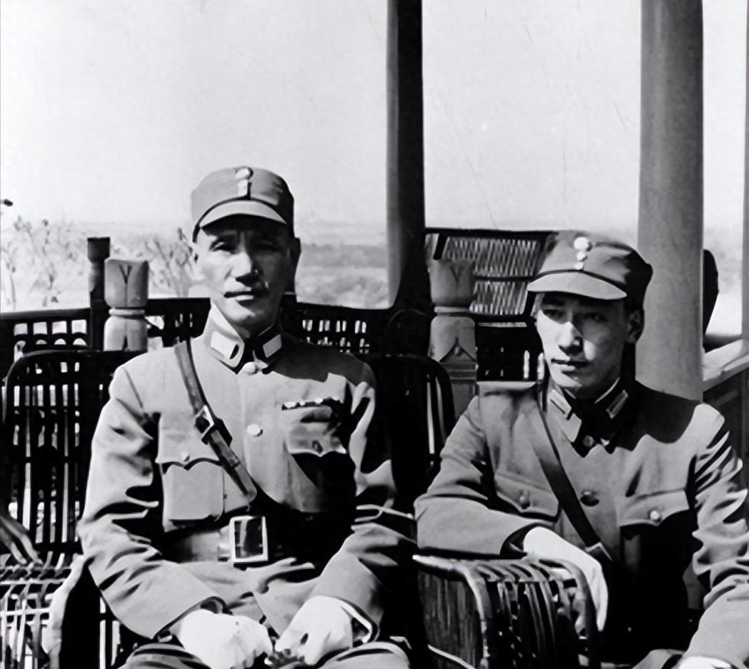 最新生育险政策及温馨故事概述