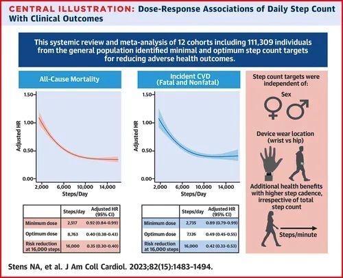 新澳天天免费资料大全,数据解释说明规划_时空版9.587
