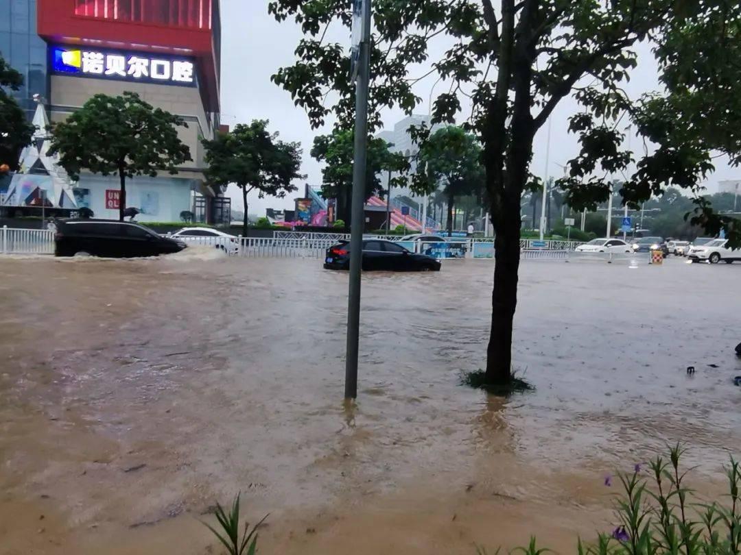 北流台风最新动态及应对台风天气的步骤指南