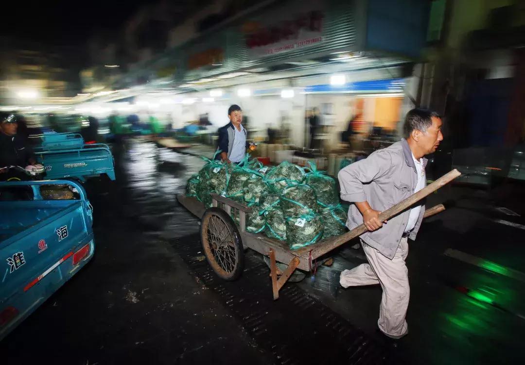 最新直播二维码使用指南，从入门到精通的详细步骤指南