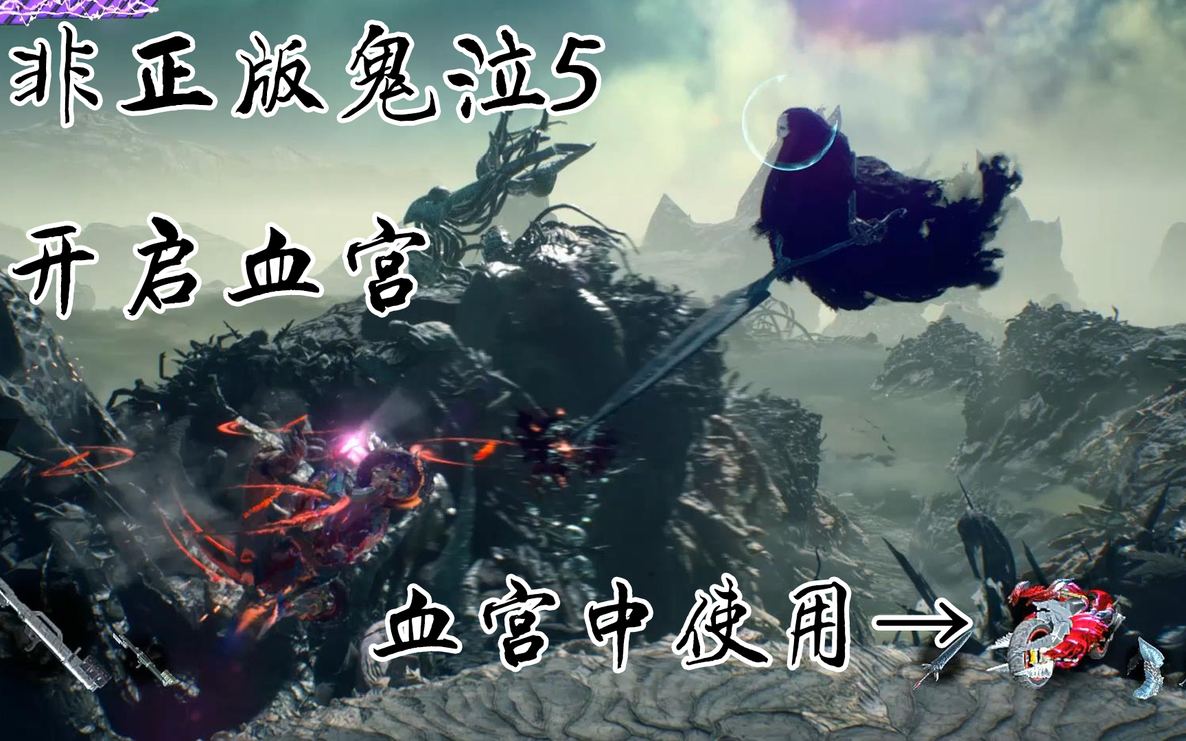 最新血王宫日常趣事概览