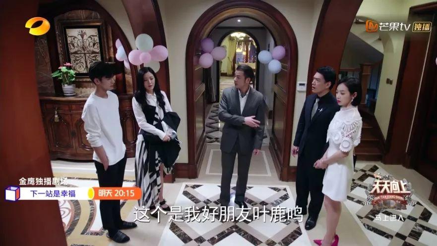 最新狐狸价格揭秘,友情小趣事增添色彩