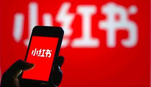 Ti7最新动态小红书分享,一网打尽最新资讯!