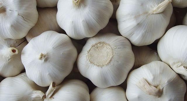 大蒜行情今日更新，背景、事件与地位的回顾与展望