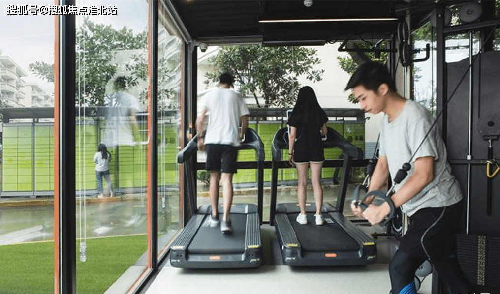 安徽大豆价格最新行情深度解析