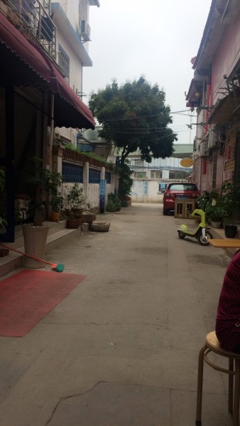 55开最新动态,小巷特色小店探秘之旅