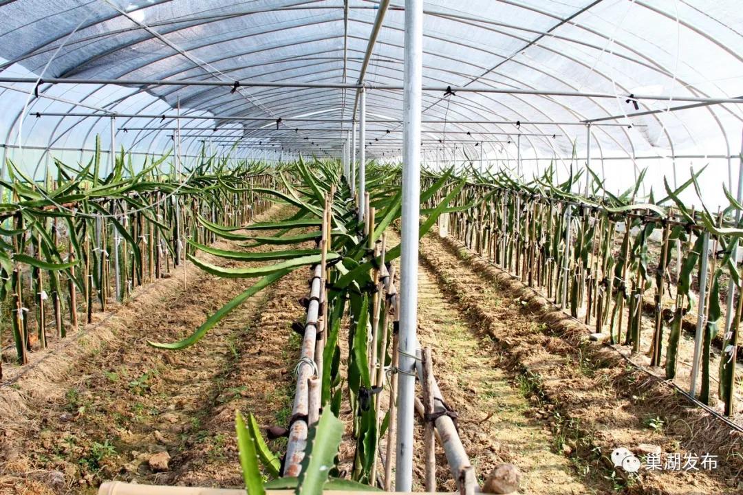 火火的爱广场舞，舞动自信，成就力量之美