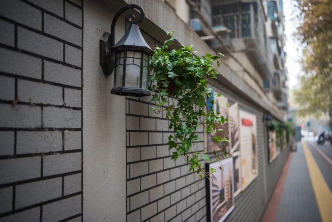 郑州新闻最新动态,小巷深处的独特风味