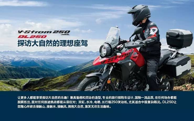 DL250铃木最新动态,全面指南与操作步骤揭秘