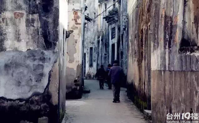 浙江高考最新热点下的独特风景揭秘