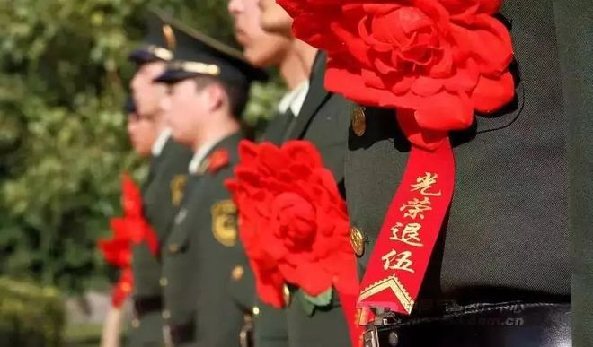 退役士兵最新技能提升与任务完成指南,退役士兵的进阶之路