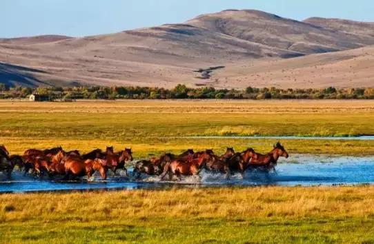 最新迷失版本传奇，温馨的寻梦之旅启程
