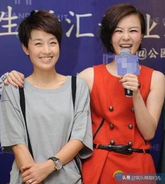 马伊琍最新动态,时代浪潮中的演艺之星