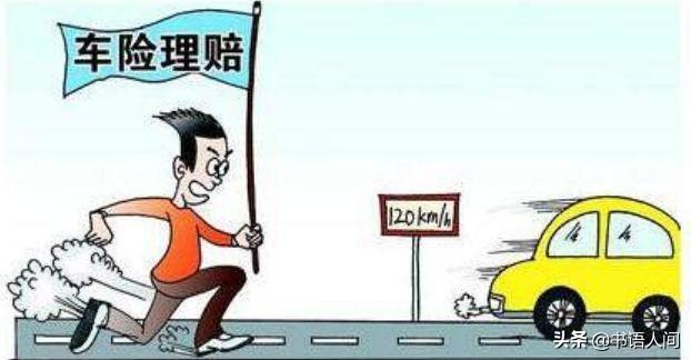 全面解析与观点阐述,最新险种介绍与探讨