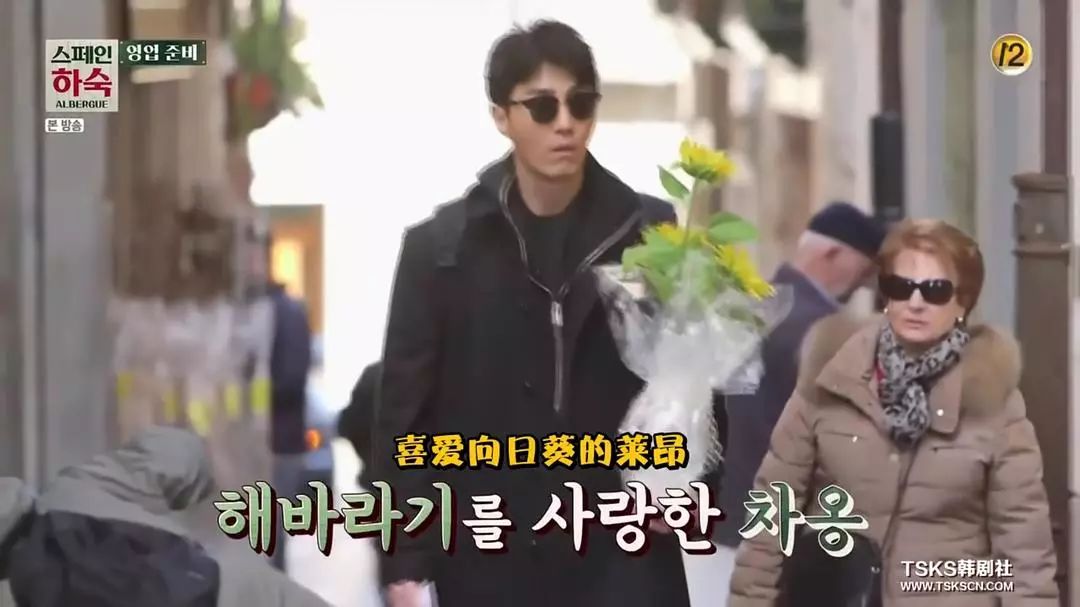 赵寅成最新电影,探索自然美景的治愈之旅,内心平和宁静的追寻