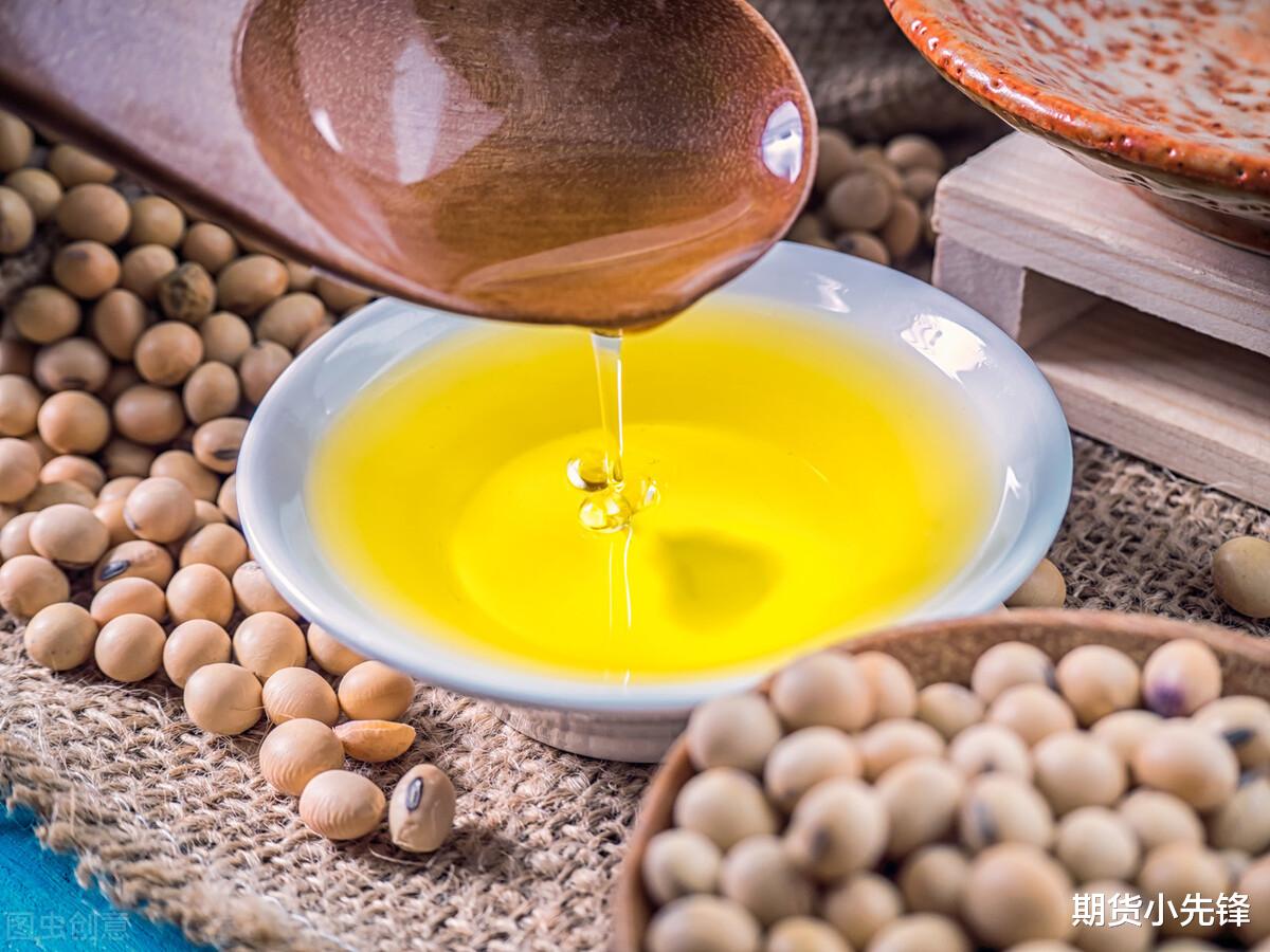 菜油现货最新行情详解,如何获取并分析行情信息,洞悉市场动态