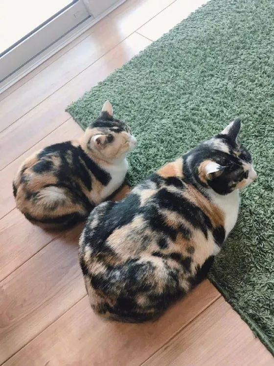 叶心仪与乔梁的趣味日常故事最新章节小说摘要分享