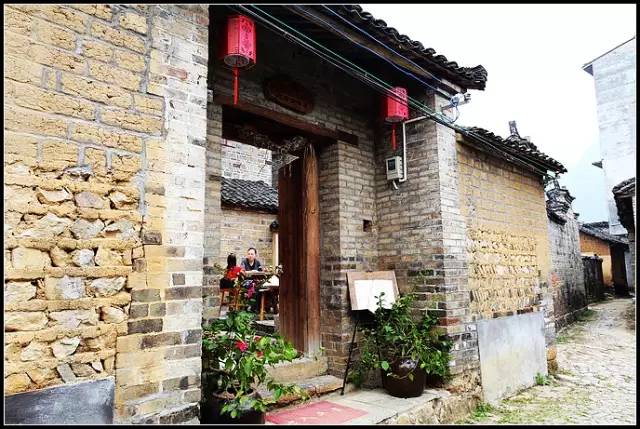 最新种子号揭秘,小巷中的秘密花园