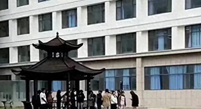 最新喜剧电影掀起欢乐风暴,引领观影热潮!