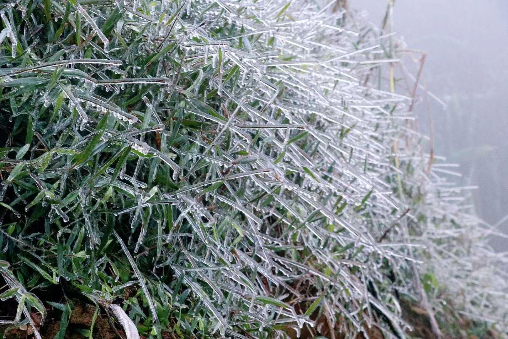 最新建三江天气预报,稳固执行战略分析_移动版23.751