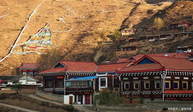 阿底村最新动态,小巷深处的独特风情揭秘