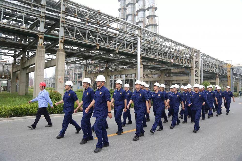 泰州新闻最新交通事故,深入探讨方案策略_冒险版23.392