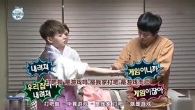 我独自生活最新一期,现代独居生活的价值与挑战探讨