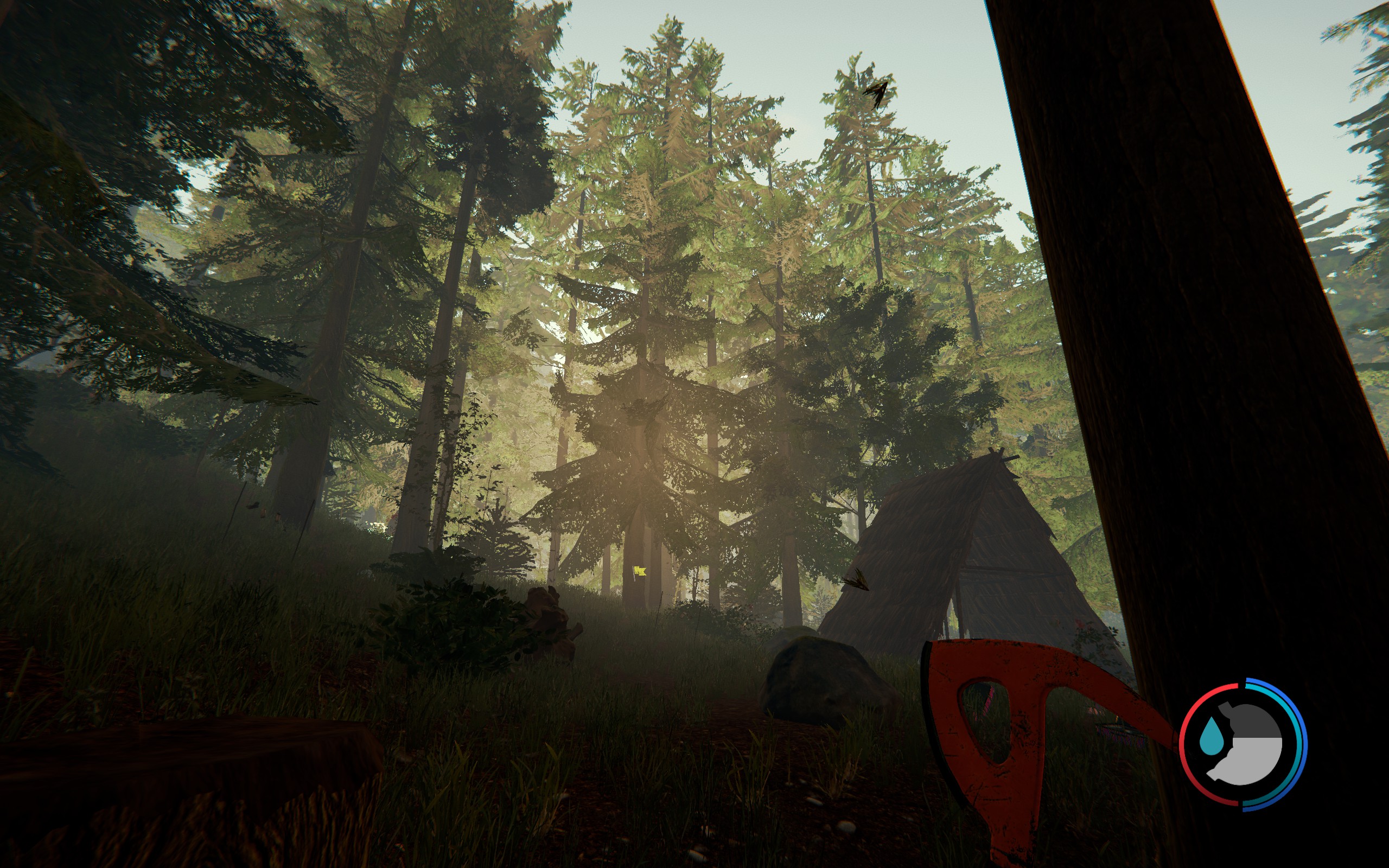 森林最新版本的足迹与影响探索