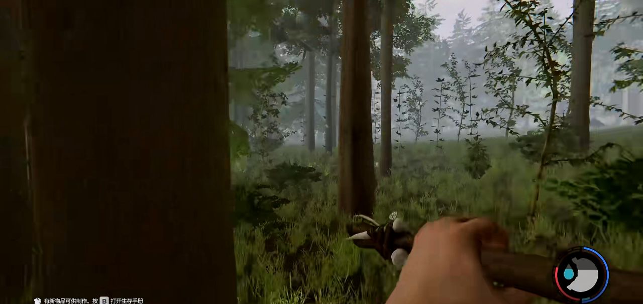 森林最新版本的足迹与影响探索