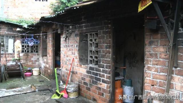 青云志最新,巷弄深处隐藏独特风味小店