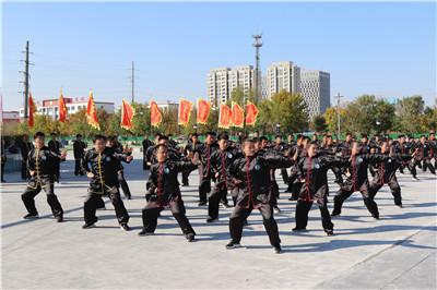 科技盛宴下的门球魅力,最新门球比赛视频独家呈现