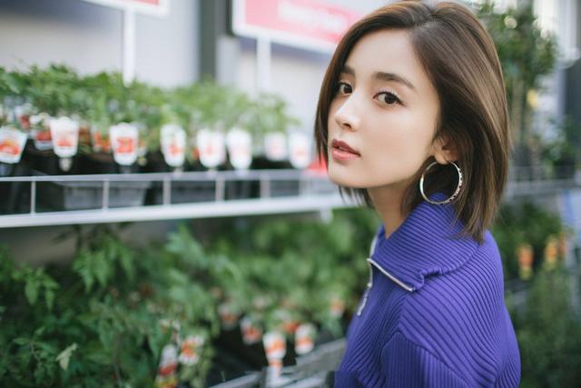 雨宫琴音最新,音乐与艺术的完美融合之旅