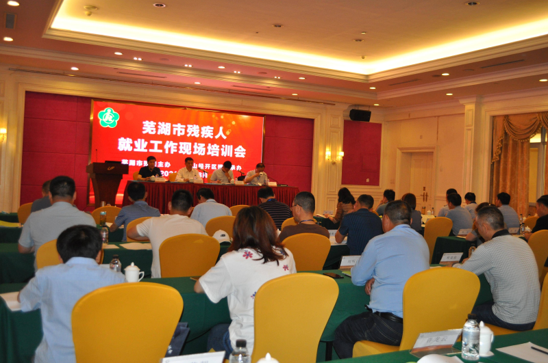 惠奈酱最新指南,掌握任务完成与技能学习详细步骤的秘籍