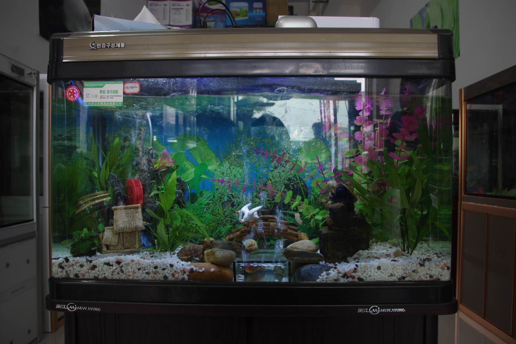 最新水族箱,科技与生活的完美融合艺术展示