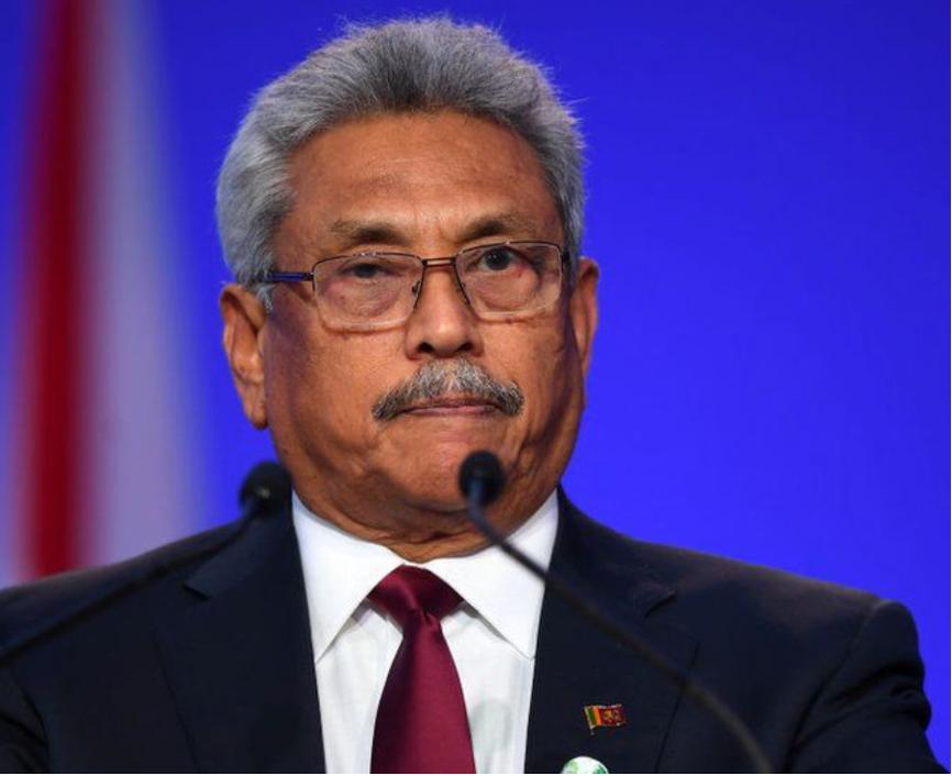 斯里兰卡最新新闻,茶韵友情间的温馨日常