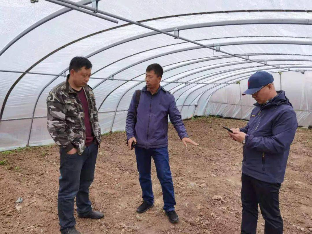 泰达最新动态，变化中的力量，自信与成就感的源泉