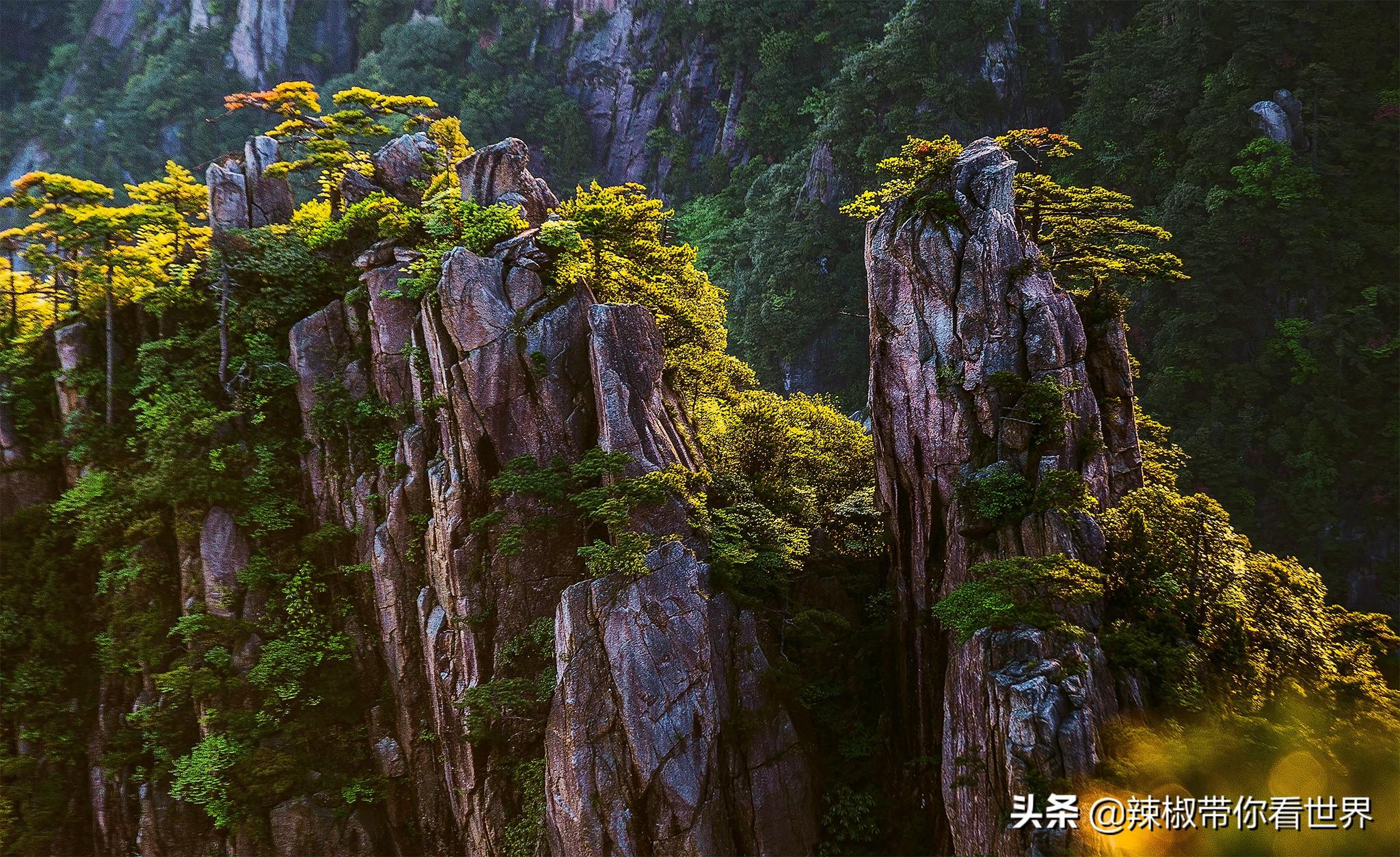 🌟百步镇最新规划揭秘✨