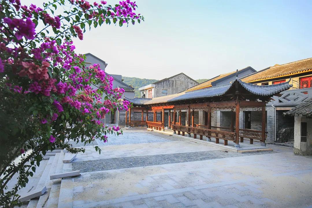 乐清市最新新闻报道