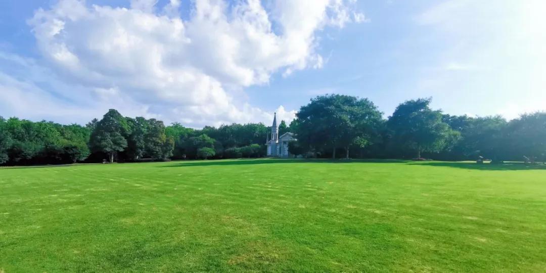 最新智慧版,轻松探索自然美景的旅程