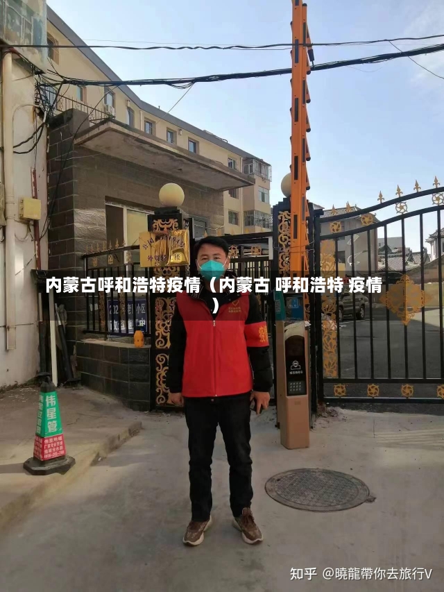 呼和浩特疫情实时更新，最新动态与消息