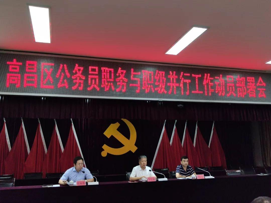 职务职级并行最新动态，申请与技能提升综合指南（初学者与进阶用户必读）