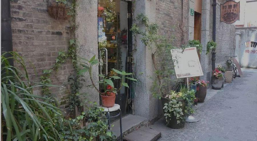 CBA辽宁男篮最新动态与小城篮球特色小店的碰撞