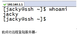 最新SSH技术，掌握安全远程访问的关键密钥
