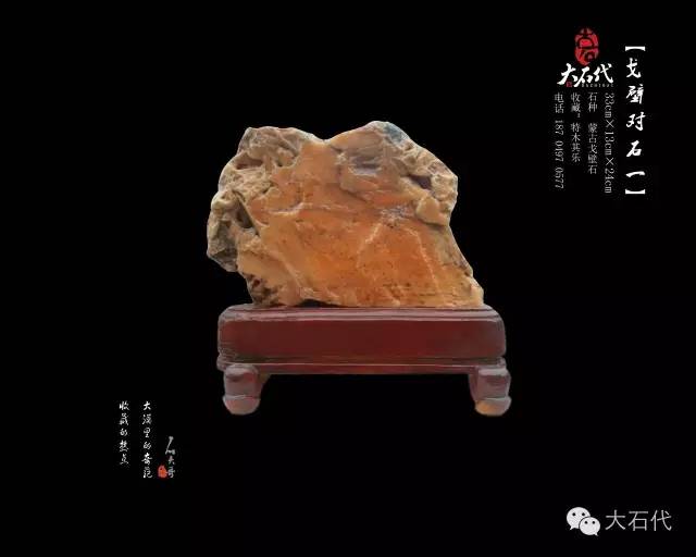 探寻最新神秘自然艺术之奇石大发现