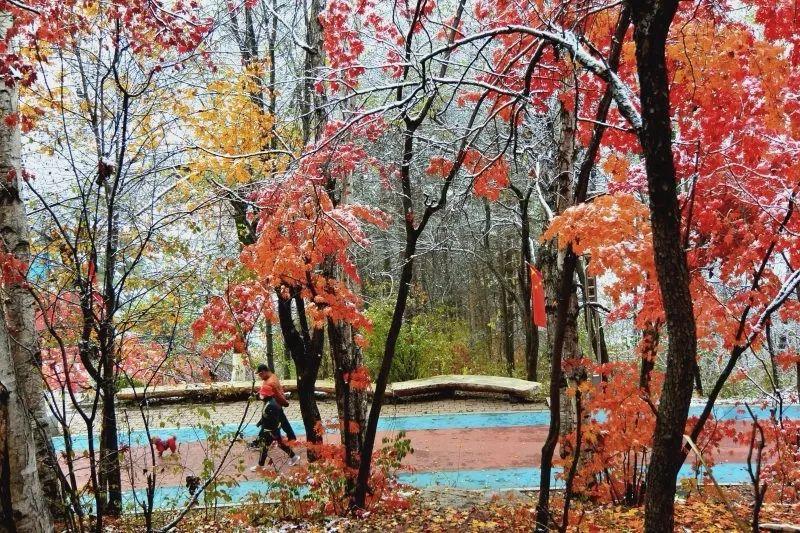 最新韩国舞蹈,舞动中的温情日常之美