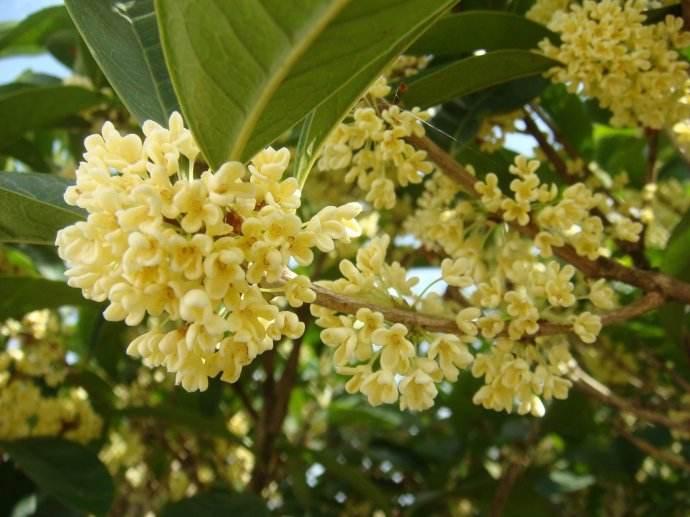 云南红河河畔的温情之旅，最新事件小记