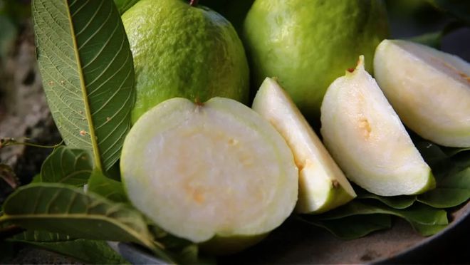 番石榴最新动态,自然美景探索之旅的治愈力量