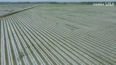 新疆最新旅行资讯,拥抱自然美景之旅,探寻内心宁静与平和的旅程