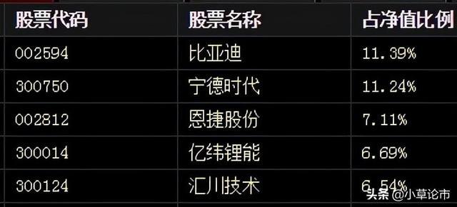 新能源基金最新排名深度解析与个人观点观察